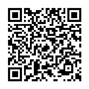 Link to your fundraiser QRCode - Fundraising
