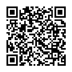 Link to your fundraiser QRCode - Fundraising
