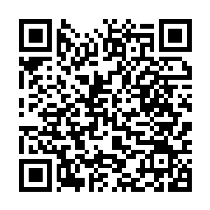 Link to your fundraiser QRCode - Fundraising
