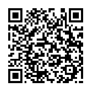 Link to your fundraiser QRCode - Fundraising