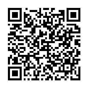 Link to your fundraiser QRCode - Fundraising