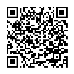 Link to your fundraiser QRCode - Fundraising