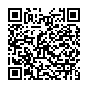 Link to your fundraiser QRCode - Fundraising