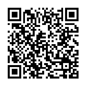 Link to your fundraiser QRCode - Fundraising
