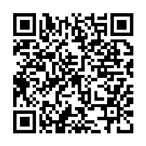 Link to your fundraiser QRCode - Fundraising