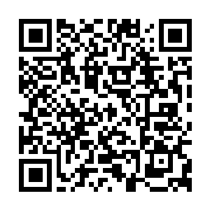 Link to your fundraiser QRCode - Fundraising