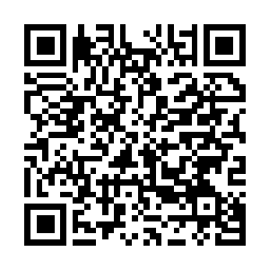 Link to your fundraiser QRCode - Fundraising