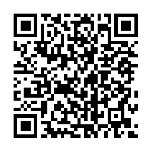 Link to your fundraiser QRCode - Fundraising