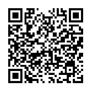 Link to your fundraiser QRCode - Fundraising