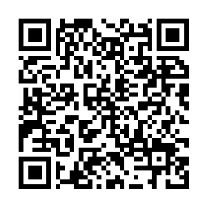 Link to your fundraiser QRCode - Fundraising