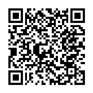Link to your fundraiser QRCode - Fundraising