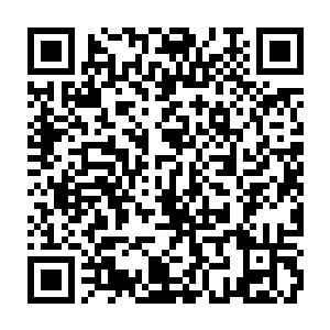 Link to your fundraiser QRCode - Fundraising