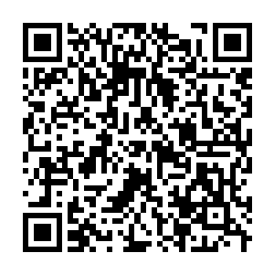 Link to your fundraiser QRCode - Fundraising