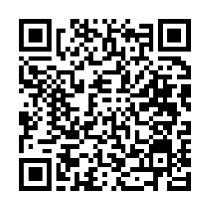 Link to your fundraiser QRCode - Fundraising