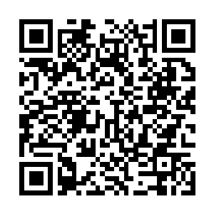 Link to your fundraiser QRCode - Fundraising