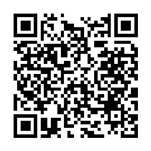 Link to your fundraiser QRCode - Fundraising