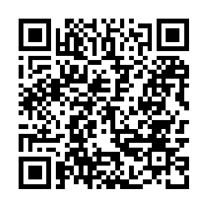 Link to your fundraiser QRCode - Fundraising