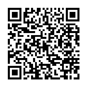 Link to your fundraiser QRCode - Fundraising