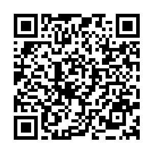 Link to your fundraiser QRCode - Fundraising