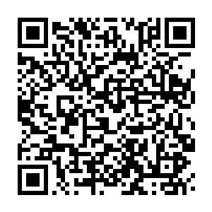 Link to your fundraiser QRCode - Fundraising