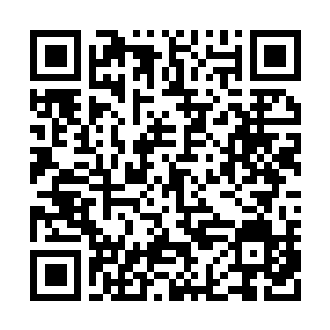 Link to your fundraiser QRCode - Fundraising