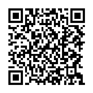 Link to your fundraiser QRCode - Fundraising