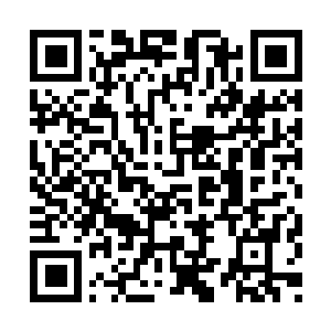 Link to your fundraiser QRCode - Fundraising