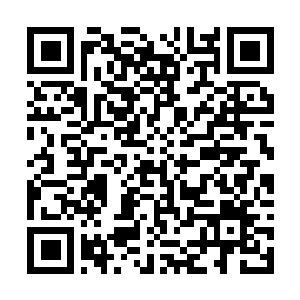 Link to your fundraiser QRCode - Fundraising