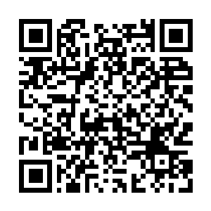 Link to your fundraiser QRCode - Fundraising