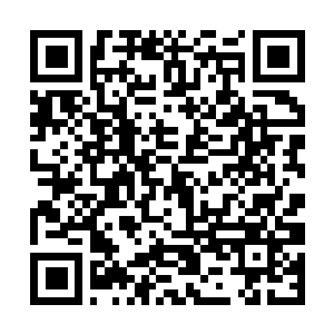 Link to your fundraiser QRCode - Fundraising