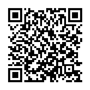 Link to your fundraiser QRCode - Fundraising