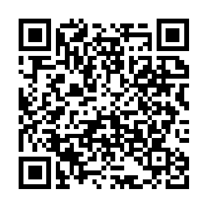 Link to your fundraiser QRCode - Fundraising