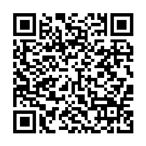 Link to your fundraiser QRCode - Fundraising