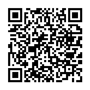 Link to your fundraiser QRCode - Fundraising