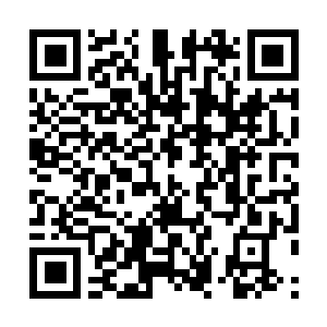 Link to your fundraiser QRCode - Fundraising