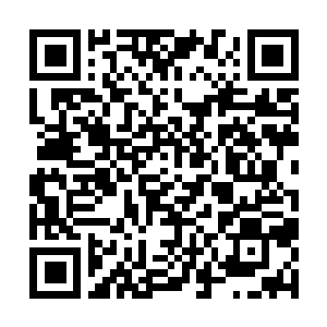Link to your fundraiser QRCode - Fundraising