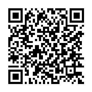 Link to your fundraiser QRCode - Fundraising