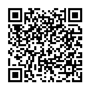 Link to your fundraiser QRCode - Fundraising