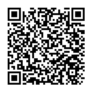 Link to your fundraiser QRCode - Fundraising