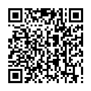 Link to your fundraiser QRCode - Fundraising