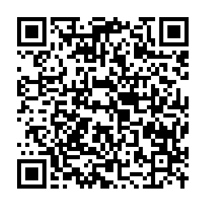 Link to your fundraiser QRCode - Fundraising