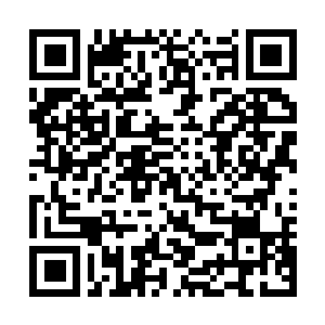 Link to your fundraiser QRCode - Fundraising