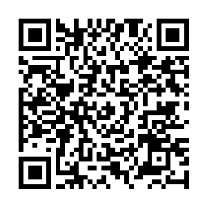 Link to your fundraiser QRCode - Fundraising