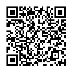 Link to your fundraiser QRCode - Fundraising