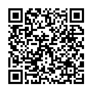 Link to your fundraiser QRCode - Fundraising