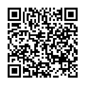 Link to your fundraiser QRCode - Fundraising