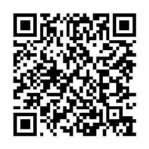 Link to your fundraiser QRCode - Fundraising