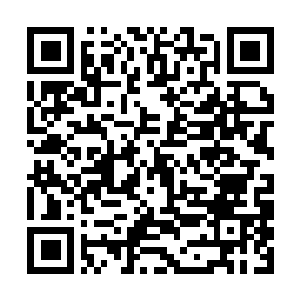 Link to your fundraiser QRCode - Fundraising