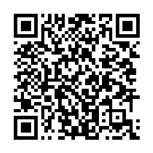 Link to your fundraiser QRCode - Fundraising