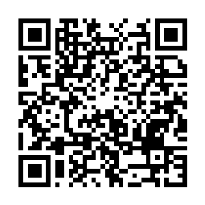 Link to your fundraiser QRCode - Fundraising